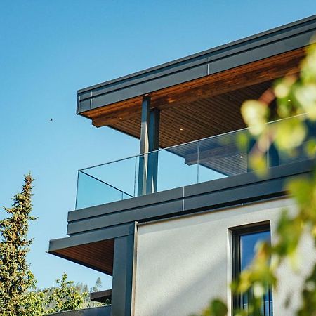 Deluxe Apartment Berglust 斯拉德明 外观 照片